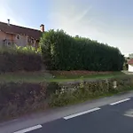 The Adorable Catalan Owl!!!