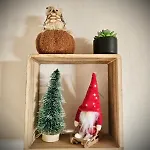 The Adorable Catalan Owl!!! Gérardmer