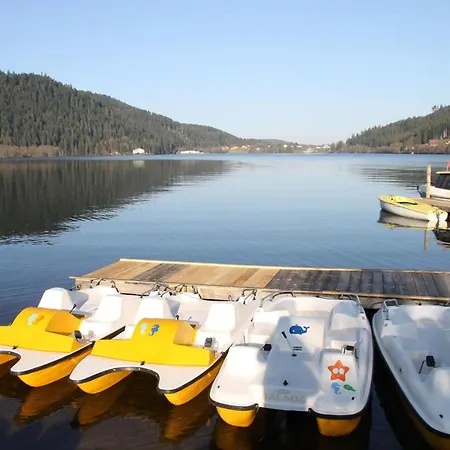 The Adorable Catalan Owl!!! Lejlighed