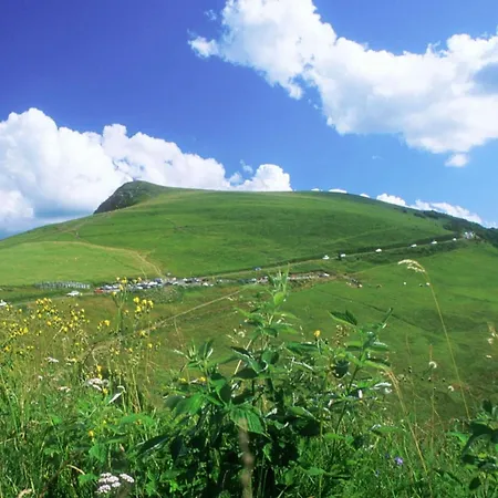 The Adorable Catalan Owl!!! Lejlighed *