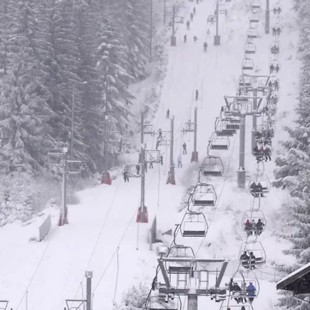 公寓 The Adorable Catalan Owl!!!