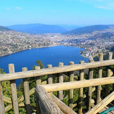 The Adorable Catalan Owl!!! Gérardmer