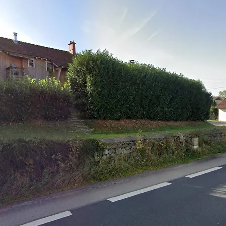 The Adorable Catalan Owl!!!