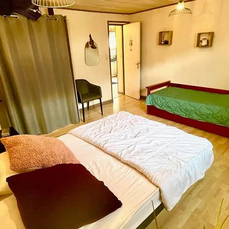 The Adorable Catalan Owl!!! * Gérardmer