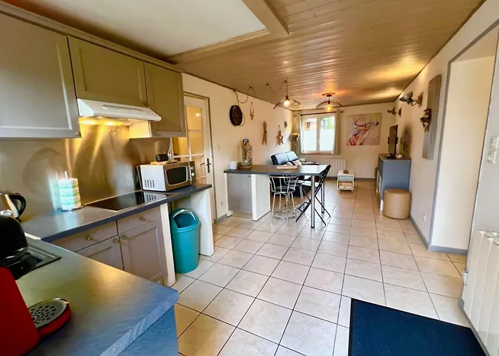 The Adorable Catalan Owl!!! * Gérardmer