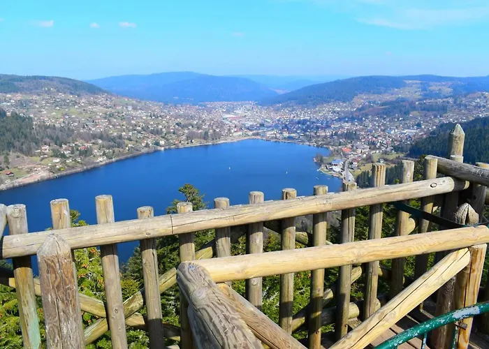 The Adorable Catalan Owl!!! * Gérardmer