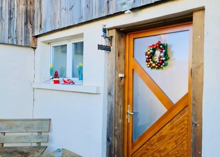 The Adorable Catalan Owl!!!