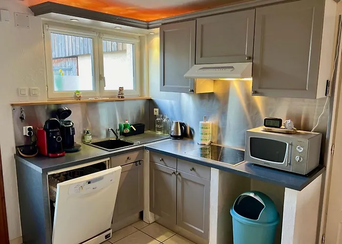 The Adorable Catalan Owl!!! * Gérardmer