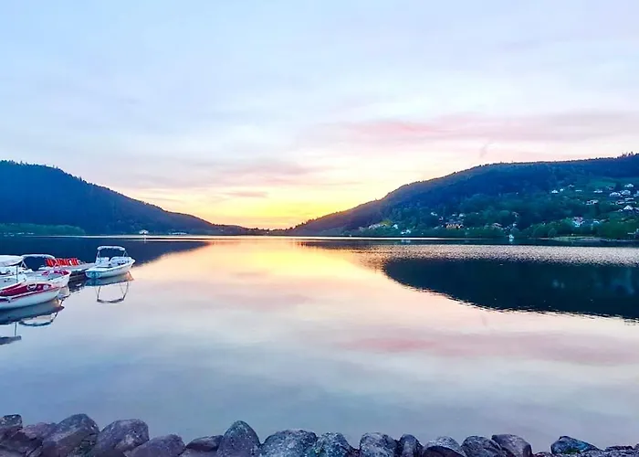 The Adorable Catalan Owl!!!