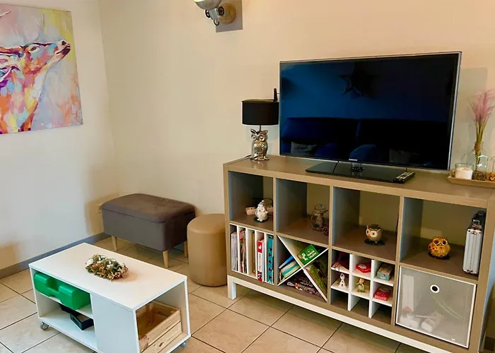 The Adorable Catalan Owl!!! Apartmán Gérardmer