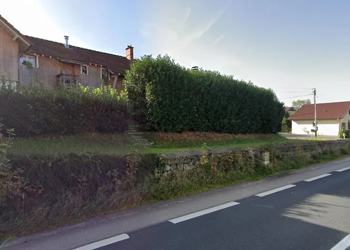 The Adorable Catalan Owl!!!