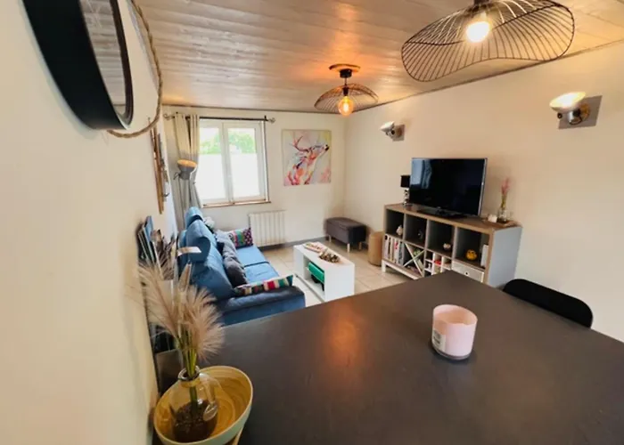 The Adorable Catalan Owl!!! *