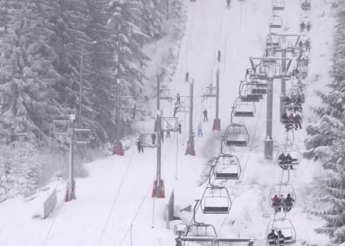 Apartment The Adorable Catalan Owl!!! Gerardmer