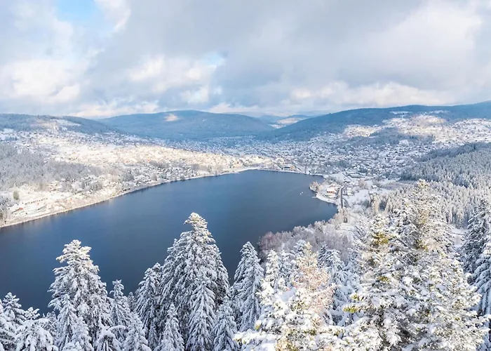 The Adorable Catalan Owl!!! *